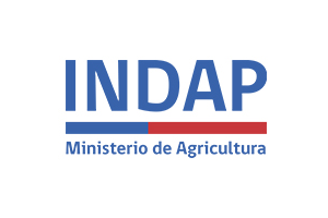 Clientes-13